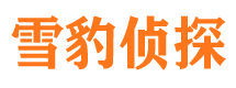 珠海外遇调查取证